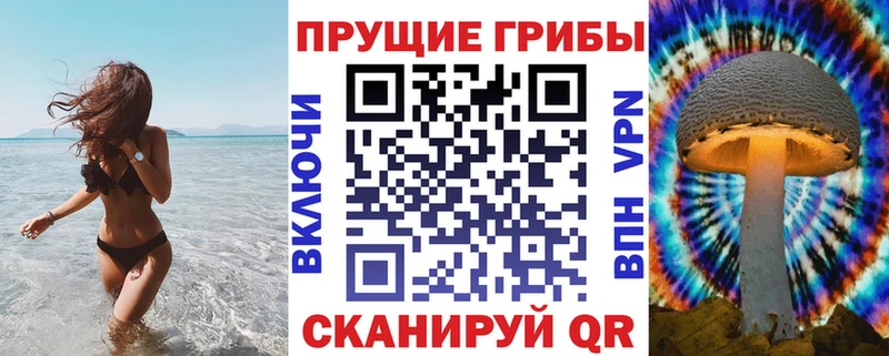 Псилоцибиновые грибы Cubensis  Ейск 